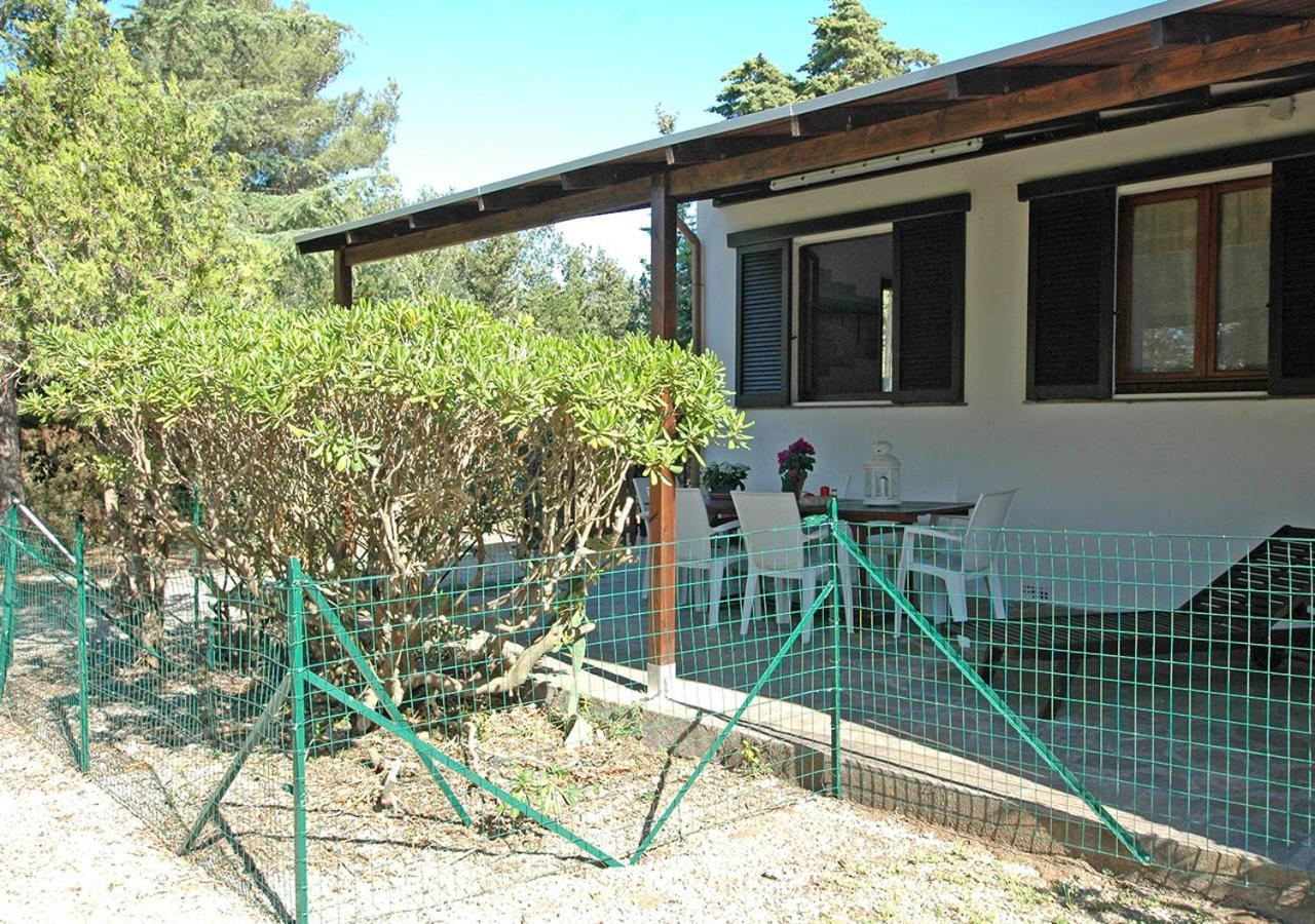 Casa Katia Apartment Lacona Bagian luar foto